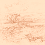 Sepia sketch