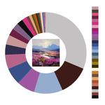 Colour wheel / palette