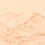 Sepia sketch