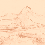 Sepia sketch