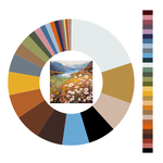 Colour wheel / palette