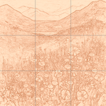 Sepia sketch with grid