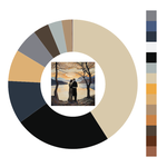 Colour wheel / palette