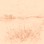 Sepia sketch