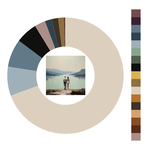 Colour wheel / palette