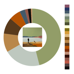 Colour wheel / palette