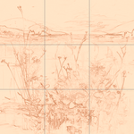 Sepia sketch with grid