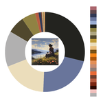 Colour wheel / palette