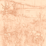 Sepia sketch