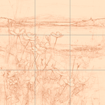 Sepia sketch with grid