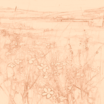 Sepia sketch