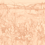 Sepia sketch