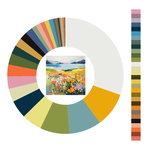 Colour wheel / palette