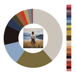 Colour wheel / palette