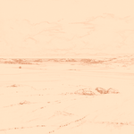 Sepia sketch