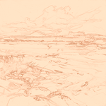 Sepia sketch