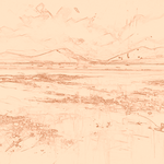 Sepia sketch