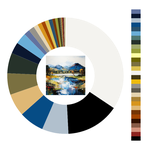 Colour wheel / palette