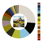 Colour wheel / palette