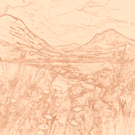 Sepia sketch