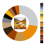 Colour wheel / palette