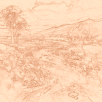 Sepia sketch