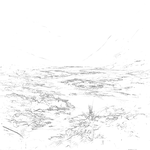 Sketch