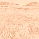 Sepia sketch