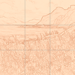 Sepia sketch with grid