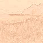 Sepia sketch