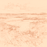 Sepia sketch