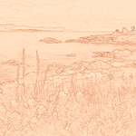 Sepia sketch