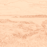 Sepia sketch