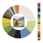 Colour wheel / palette