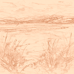 Sepia sketch