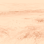 Sepia sketch