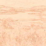 Sepia sketch