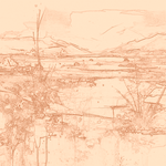 Sepia sketch