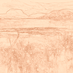 Sepia sketch