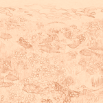 Sepia sketch