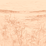 Sepia sketch