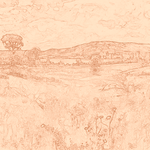 Sepia sketch