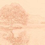 Sepia sketch