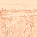 Sepia sketch