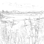 Sketch