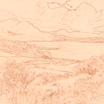 Sepia sketch