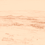 Sepia sketch