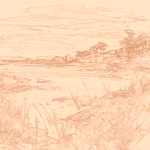 Sepia sketch