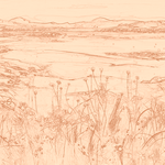 Sepia sketch