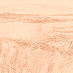 Sepia sketch